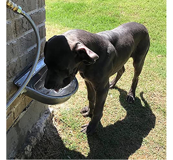 Поїлка для корів WOERD, автоматична поїлка з нержавіючої сталі з поплавковим краном, чаша для великої рогатої худоби, овець та корів (2064)