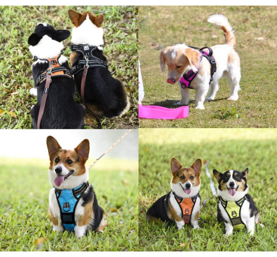 Шлейка для собак PoyPet 007073-FBA, черная (3103)