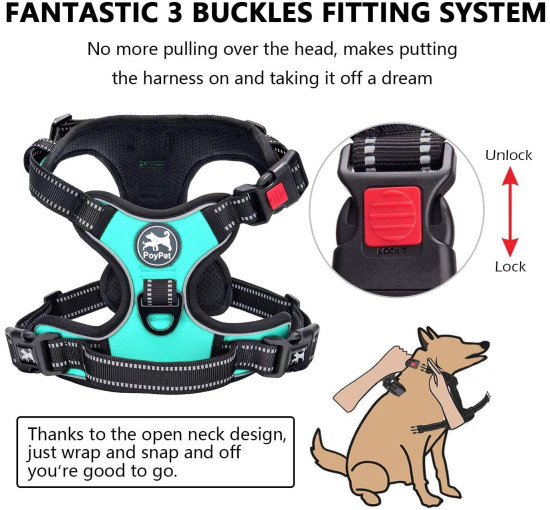 Шлейка для собак PoyPet 122020, светоотражающий жилет для собак, голубой (3106)