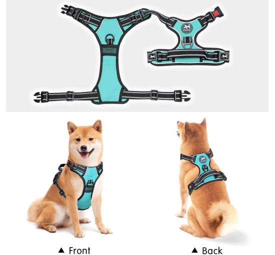 Шлейка для собак PoyPet 122020, светоотражающий жилет для собак, голубой (3106)
