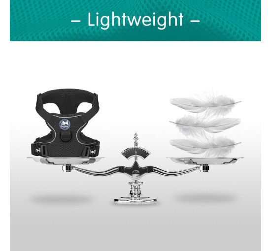 Шлейка для собак PoyPet 170230 / светоотражающий жилет для собак, черный (3110)