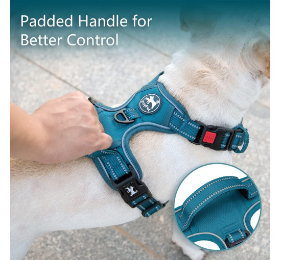 Шлейка для собак PoyPet 282630, светоотражающий жилет для собак, бирюзовый (3102)
