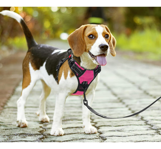 Шлейка PoyPet DH007084 для домашних животных с легкой мягкой ручкой, розовый (3108)