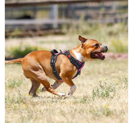 Шлейка PoyPet DH007084 для домашних животных с легкой мягкой ручкой, розовый (3108)