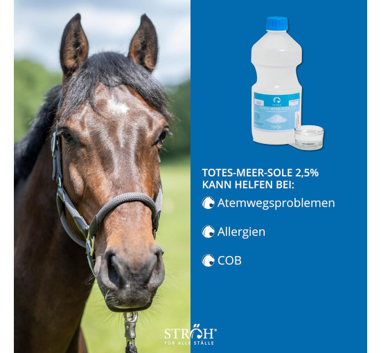 Сироп від кашлю STRÖH для коней, 1л. (4114)