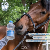 Сироп от кашля STRÖH для лошадей, 1л. (4114)