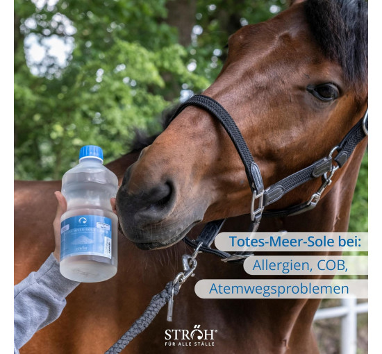 Сироп від кашлю STRÖH для коней, 1л. (4114)