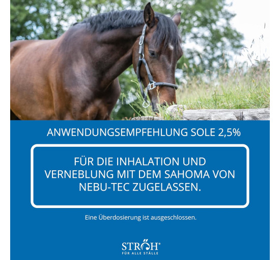 Сироп від кашлю STRÖH для коней, 1л. (4114)