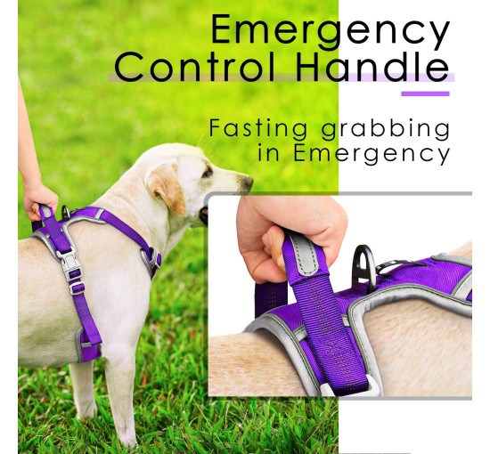 ThinkPet Шлейка для собак, регульована, для ходьби, м'яка, розмір L, фіолетовий (5099)