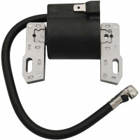 Raogoodcx замінює котушку запалювання Briggs & Stratton з електронним керуванням, підходить для 495859 491312 490586 492341 (my-15138)