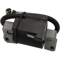 Raogoodcx заменяет катушку зажигания Briggs & Stratton с электронным управлением, подходит для 495859 491312 490586 492341 (my-15138)