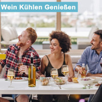 Набір винних аксесуарів преміум-класу 3 в 1 з паличкою для охолодження вина з нержавіючої сталі JOYIT (my-14077)