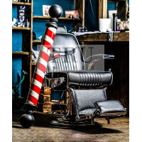 Профессиональная парикмахерская электробритва с сеткой TRU BARBER Evolution Gold 9000 об/мин (my-2046)