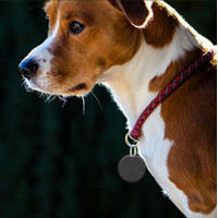 Розумний GPS-трекер із захистом від втрати (my-18059)