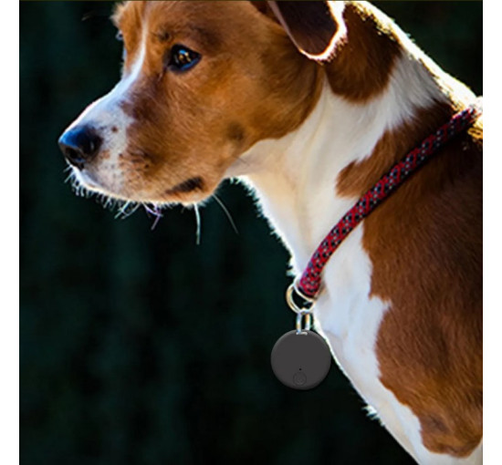 Умный GPS-трекер с защитой от потери (my-18059)