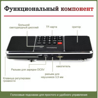 Портативное радио RETEKESS TR602 FM/AM Bluetooth-колонка черный (my-9024)