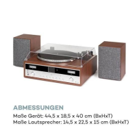 Стереосистема проигрыватель винила Auna Birmingham HiFi 10034090 (my-5104)