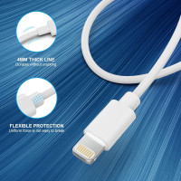 Зарядний пристрій iPhone 20 Вт PD USB C PAIMIAN DP-A110P20, адаптер живлення з 2 кабелями для швидкої зарядки (my-7078)