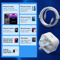 Зарядное устройство для iPhone 20 Вт PD USB C PAIMIAN DP-A110P20, адаптер питания с 2 кабелями для быстрой зарядки (my-7078)