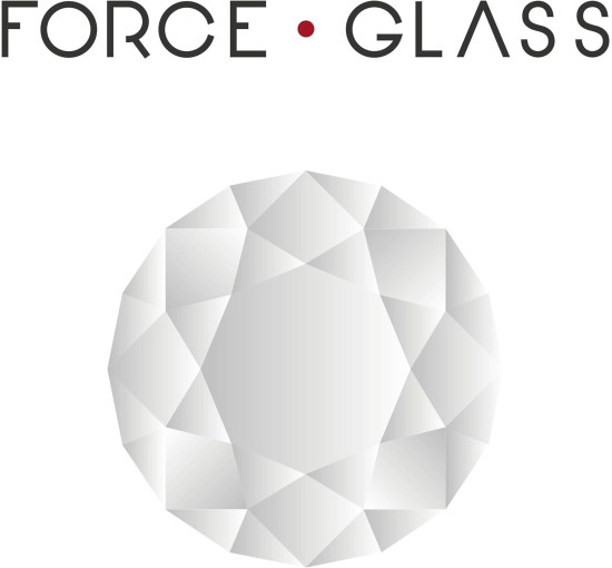 Защитное стекло Force Glass FG Original Galaxy S 10E (my-081)