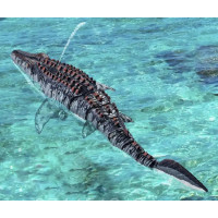Лодка на радиоуправлении SHT 3712-3A Mosasaurus 2.4G (my-17238)