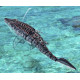 Лодка на радиоуправлении SHT 3712-3A Mosasaurus 2.4G (my-17238)