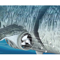 Лодка на радиоуправлении SHT 3712-3A Mosasaurus 2.4G (my-17238)