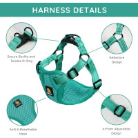 Регульована шлейка BELLA & PAL XS для маленьких собак з набором повідків, світловідбиваюча шлейка без натягу (my-12099)