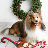 Игрушки для домашних животных, рождественский набор жевательных игрушек для собак из 3 предметов (my-14100)