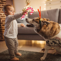 Упаковка из 2 игрушек-веревок для собак ZeYou, интерактивная игровая веревка для чистки зубов, жевания, рождественская веревка из хлопка в виде леденца (my-14099)