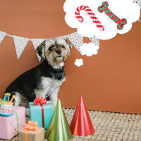 Упаковка из 2 игрушек-веревок для собак ZeYou, интерактивная игровая веревка для чистки зубов, жевания, рождественская веревка из хлопка в виде леденца (my-14099)