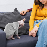 Дихаюча сорочка для кішок без вовни з рукавами Katzinst, водолазка для кошенят, піжамний комплект, сірий, XL (my-14110)