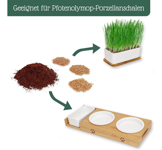 Керамическая кошачья травяная миска Pfotenolymp - готовый набор растений с семенами, почвой и горшком для кошек - с керамической миской - сделай сам (my-14061)
